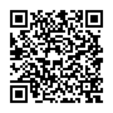 QR code for AOX0596