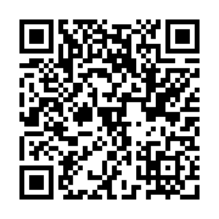QR code for APL6383