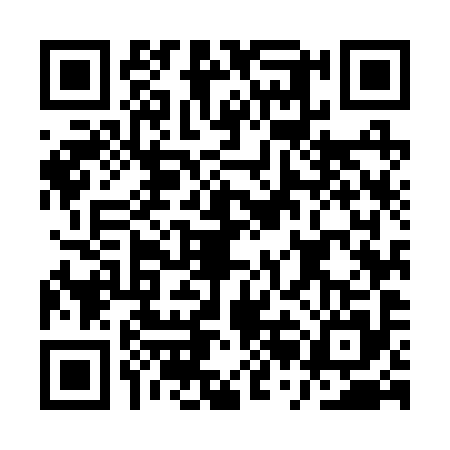 QR code for ARM2951