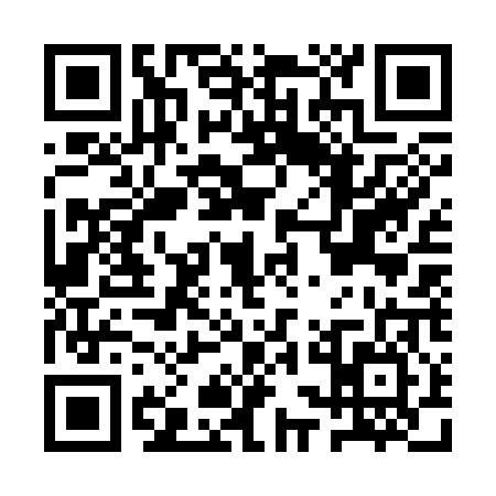 QR code for ASG3063