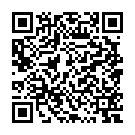 QR code for ASH0533