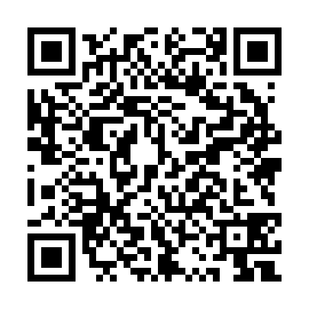 QR code for ASM2383