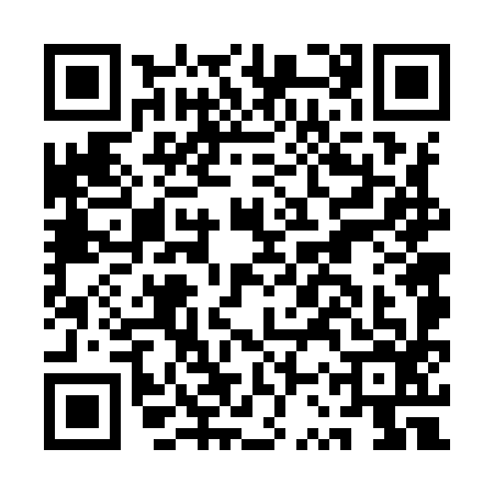 QR code for ASV9961