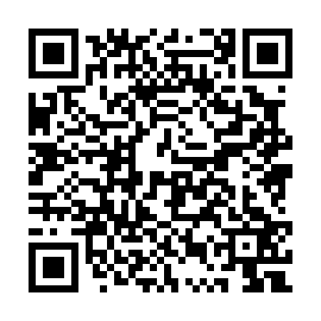 QR code for AUX0233