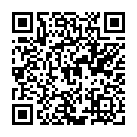 QR code for AYI6313