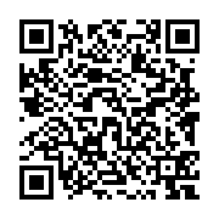 QR code for AYL0311