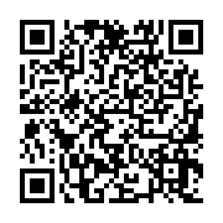 QR code for AYO1369