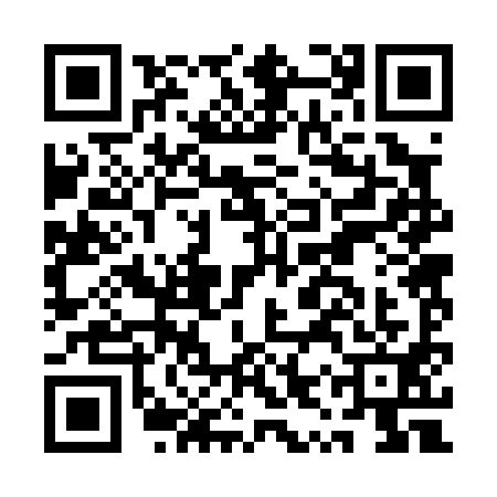 QR code for AYR0913