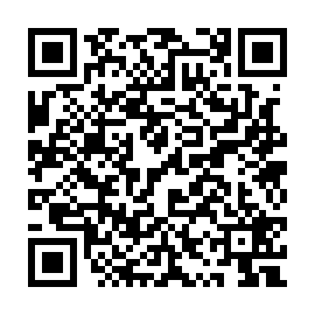 QR code for AYS1295