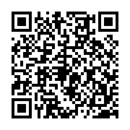 QR code for AYV0166