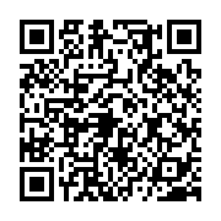 QR code for AYY3394