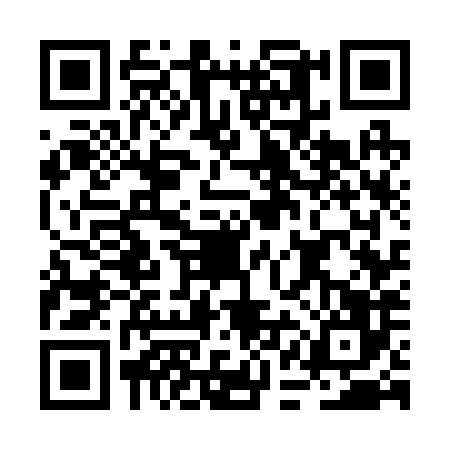 QR code for BAG2868