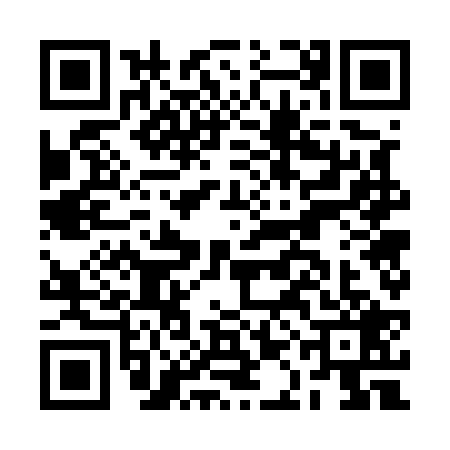 QR code for BAG5294