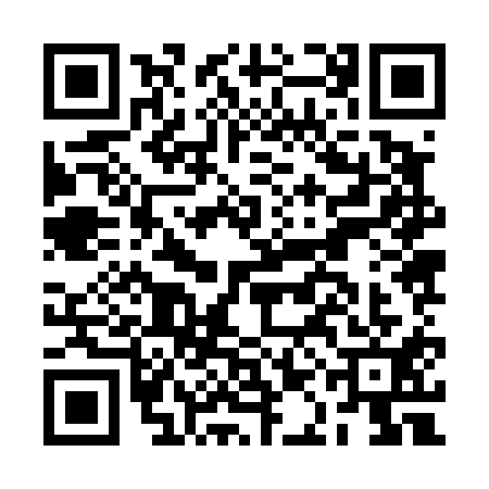 QR code for BAJ4119