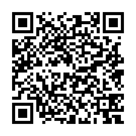 QR code for BAP1381