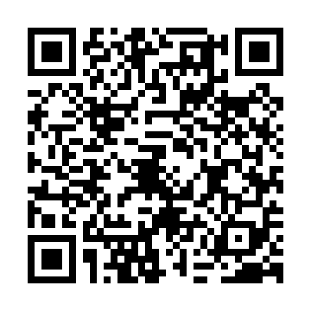 QR code for BEM0595