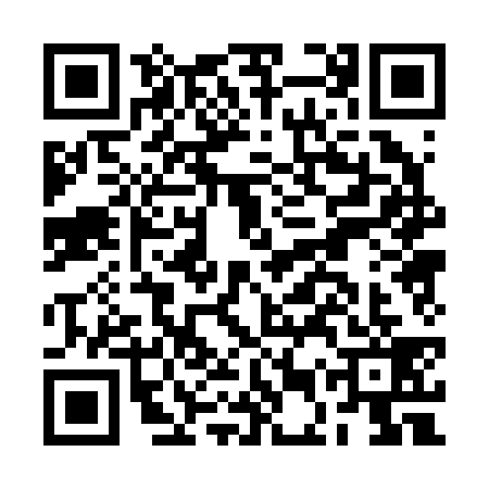 QR code for BEP2393