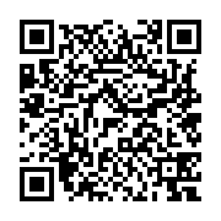 QR code for BFG9385