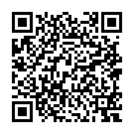 QR code for BFI1919