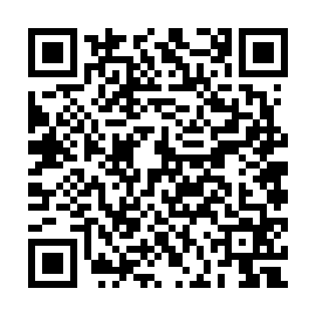 QR code for BFV6641
