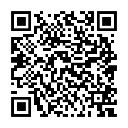 QR code for BFX6017