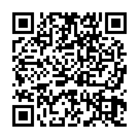 QR code for BFX9290