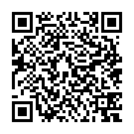 QR code for BFZ6384