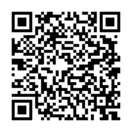 QR code for BGA4953