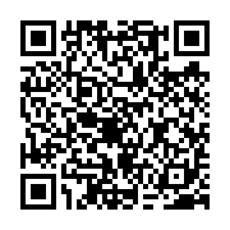 QR code for BGI6919