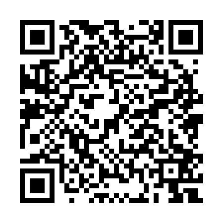 QR code for BGX2038