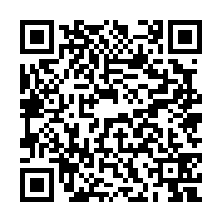 QR code for BHU0393
