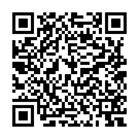 QR code for BIC9533