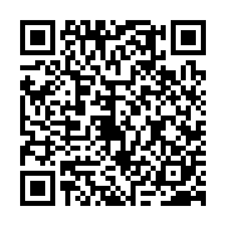 QR code for BIF3008