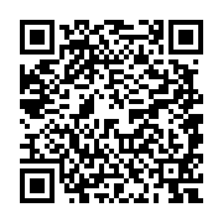 QR code for BIF4919