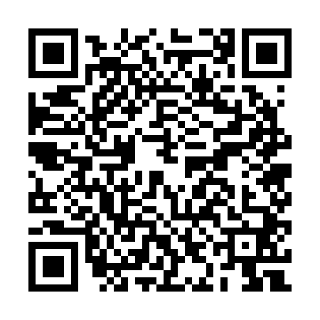 QR code for BIG2409