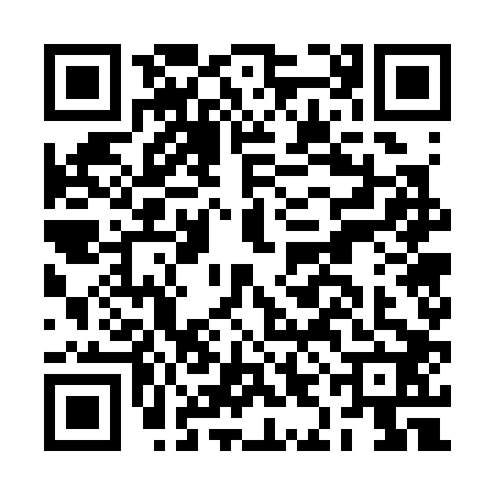 QR code for BIG3028