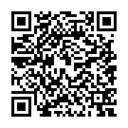 QR code for BIN1729