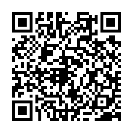 QR code for BIR6593