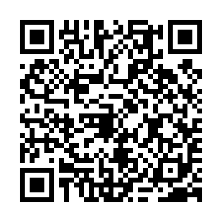 QR code for BIS4916