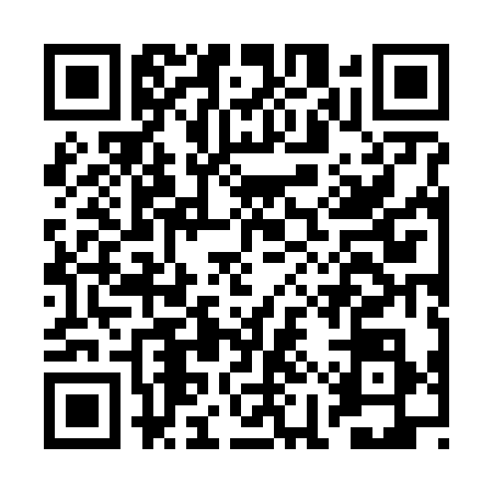 QR code for BIZ6385