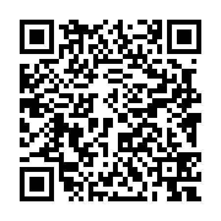 QR code for BLL0394