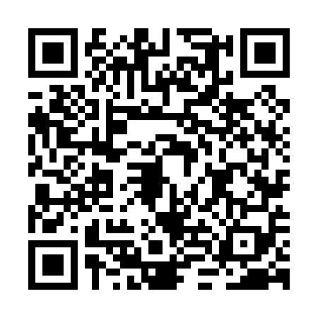 QR code for BLN0593