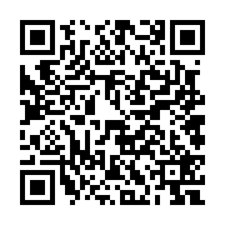 QR code for BLV0295