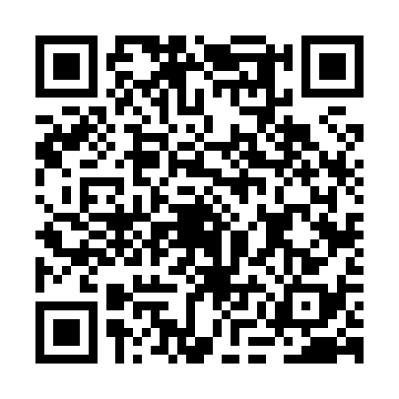 QR code for BMF8382