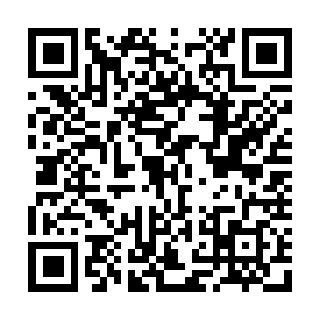 QR code for BNG3383