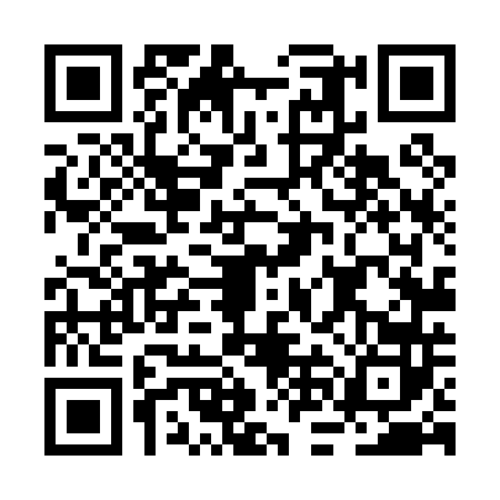 QR code for BNL0420