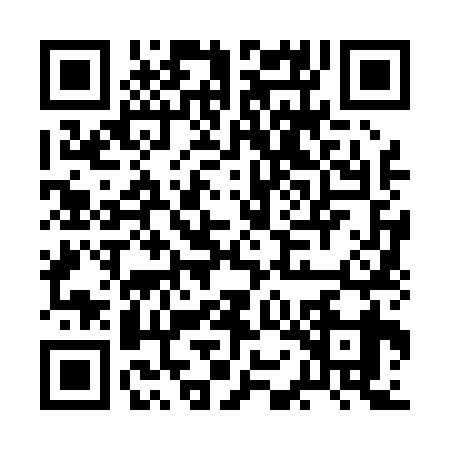 QR code for BON0393