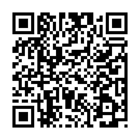 QR code for BOR0474
