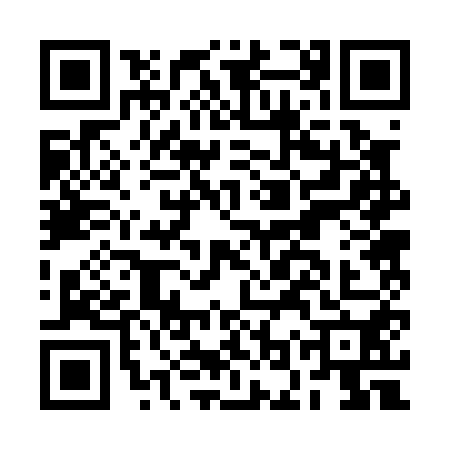 QR code for BOR0509