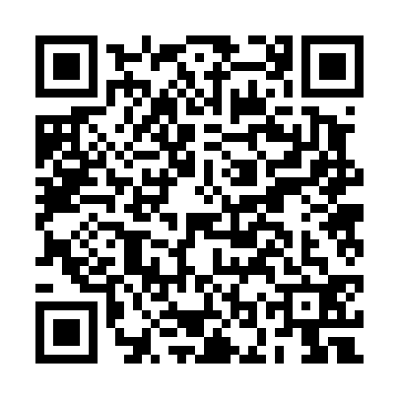 QR code for BOR4325
